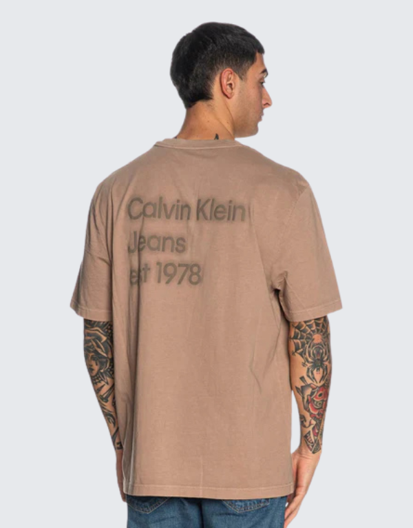 Calvin Klein Washed Puff Print T-Shirt In Taupe Men